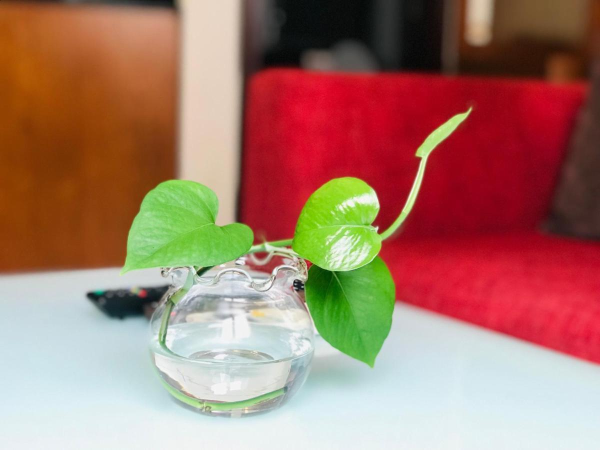 Lila Luxury & 3* Ho Chi Minh City